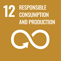 12:RESPONSIBLE CONSUMPTION AND PRODUCTIONS
