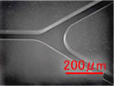 Microfluidic chip XNUMX