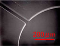 Microfluidic chip XNUMX