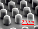 micro pillar chip XNUMX