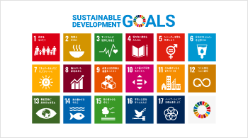 About SDGs