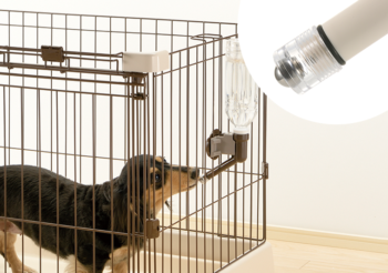 Richell N Water Nozzle Carry - Ivory Pet Water Bottle For On-the-Go Hydration
