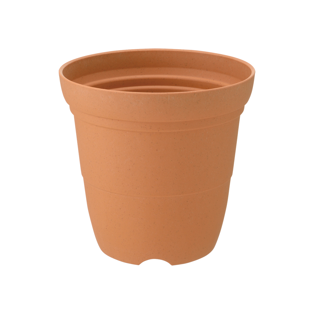 ひよっこ 170362.jpg