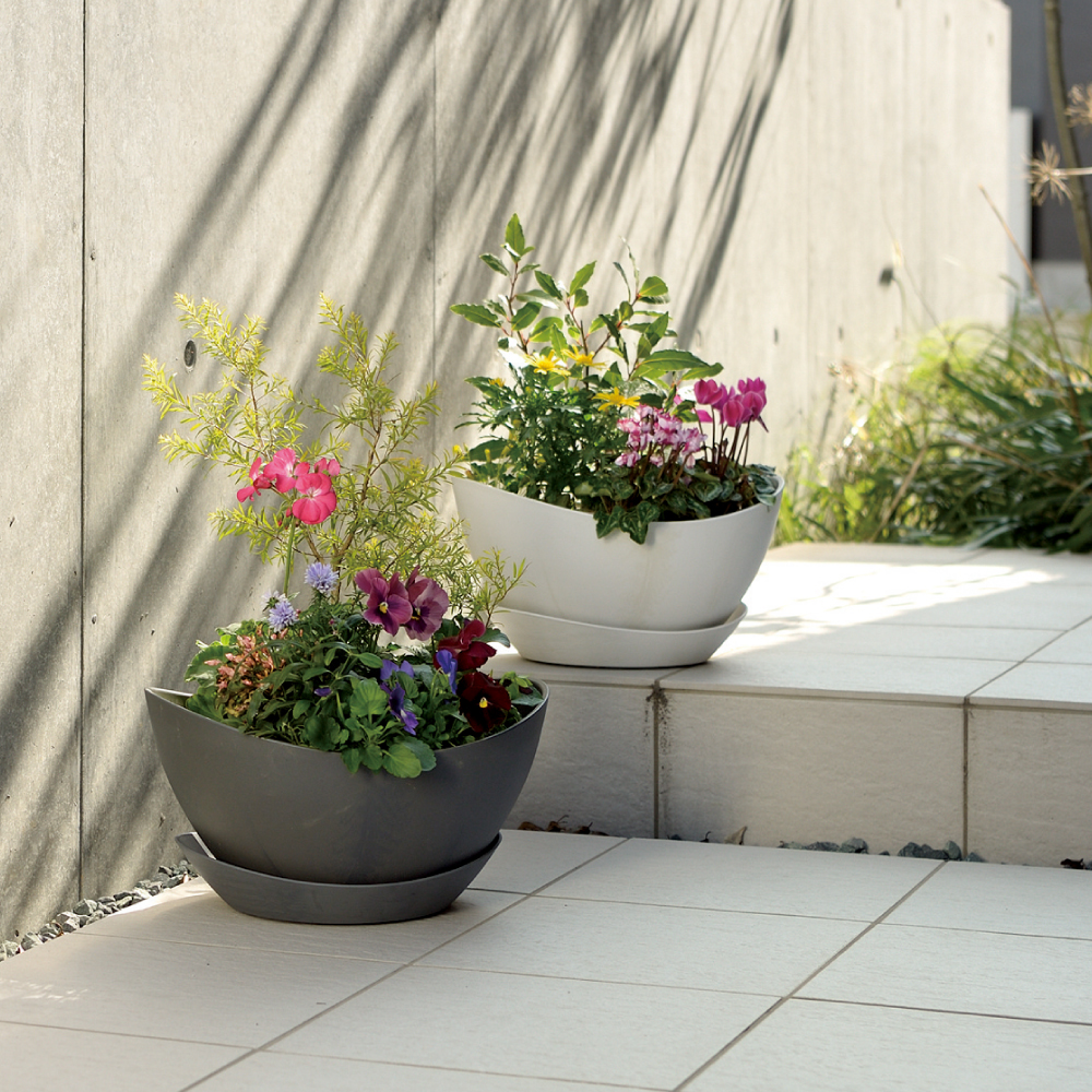 ラフィニー ボウル - リッチェル【公式】