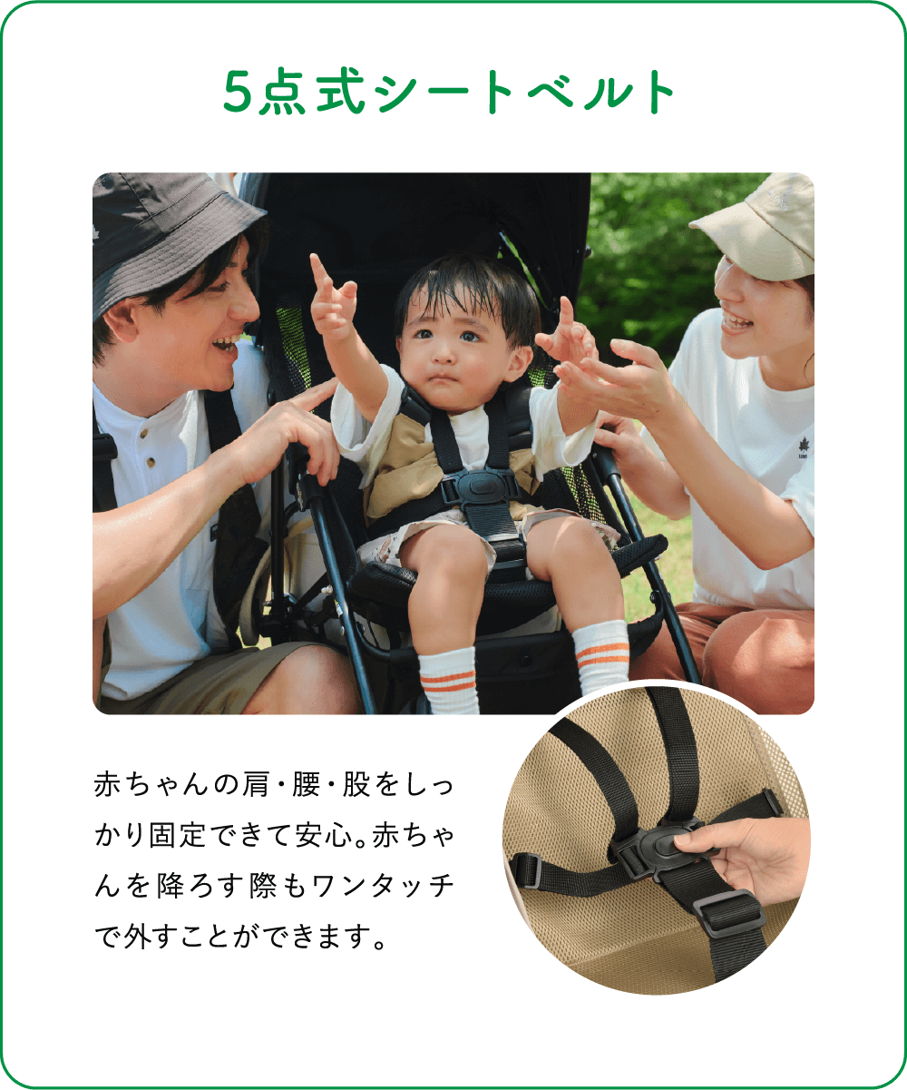 5点式シートベルト