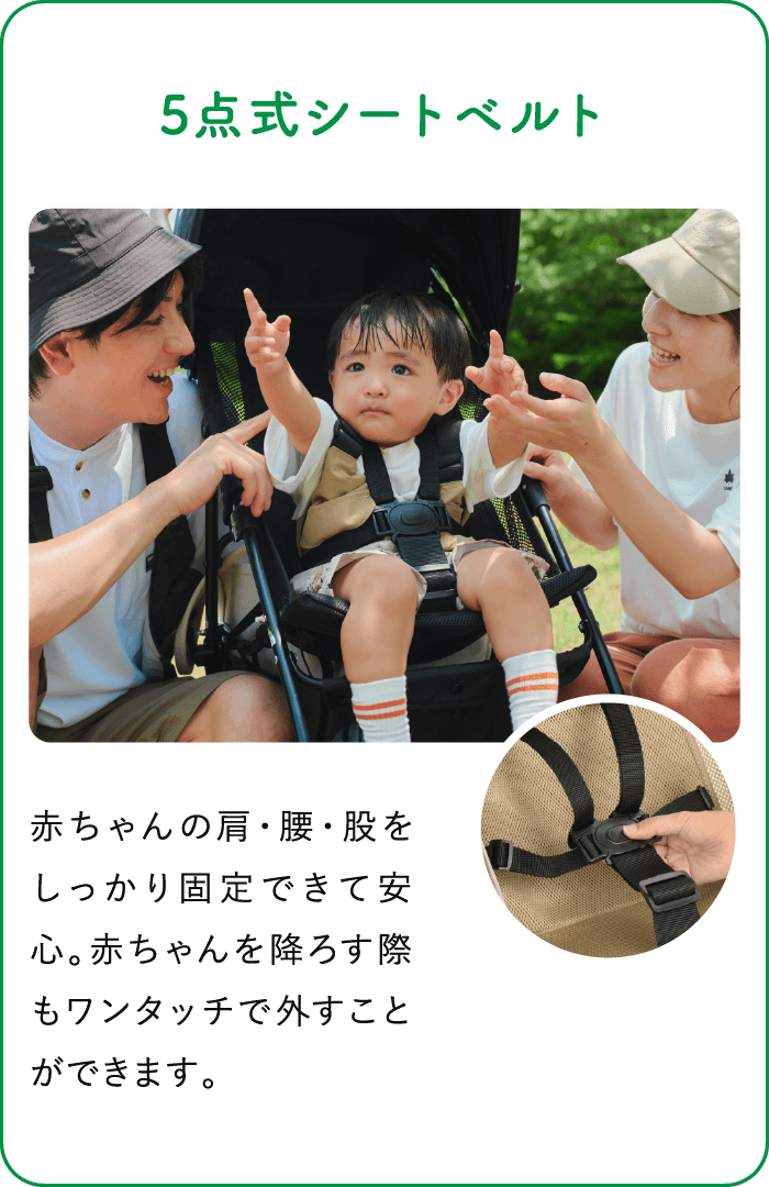 5点式シートベルト