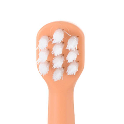 トライつよもち乳歯ブラシの歯ブラシヘッドの拡大画像