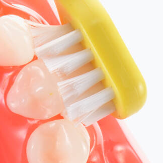 トライつよもち乳歯ブラシ