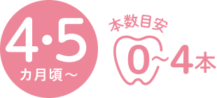 4･5カ月頃 本数目安 0~4本