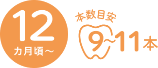 12カ月頃 本数目安 9~11本