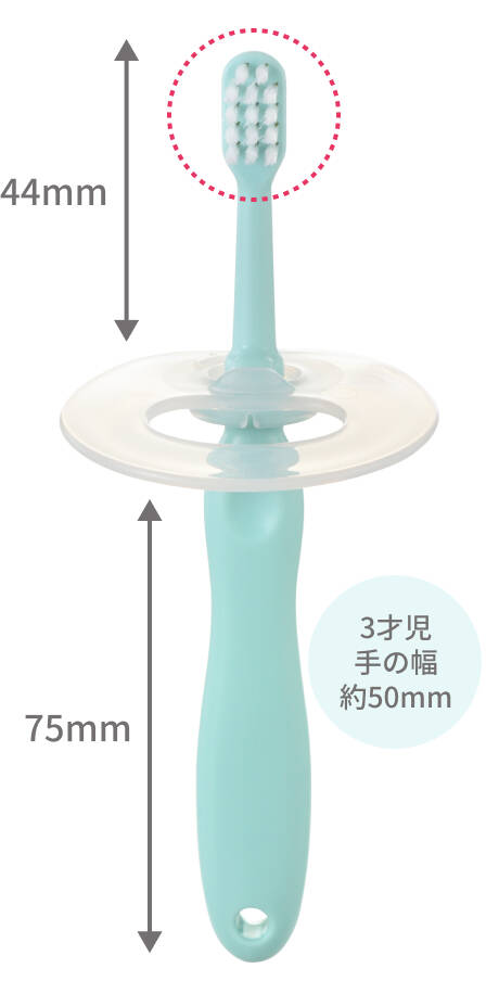 トライ つよもち乳歯ブラシSTEP4：3才児手の幅約50mmに合わせたサイズ
