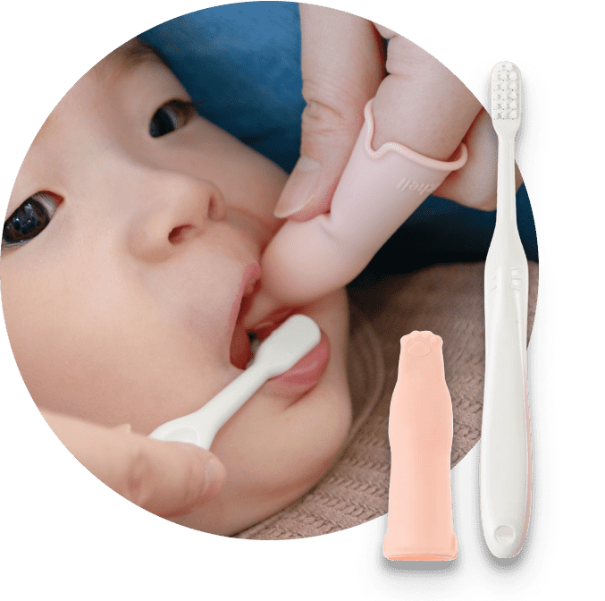 トライ つよもち仕上げブラシカミカミガード