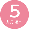 5カ月頃~