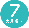7カ月頃~