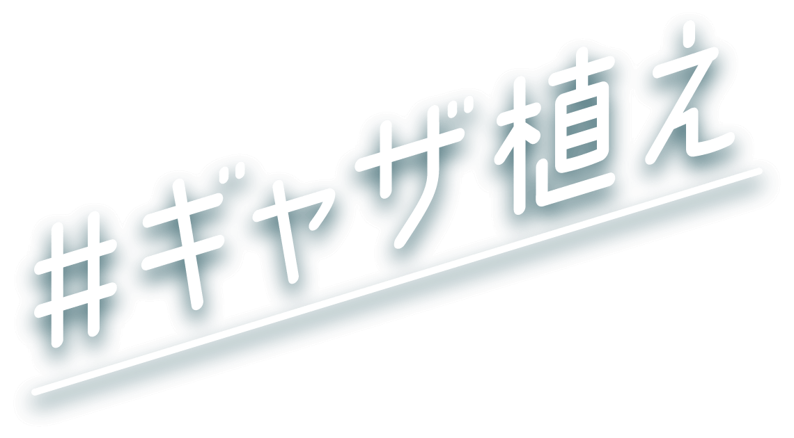 #ギャザ植え