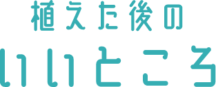 ギャザリンに植えた後の良いところ