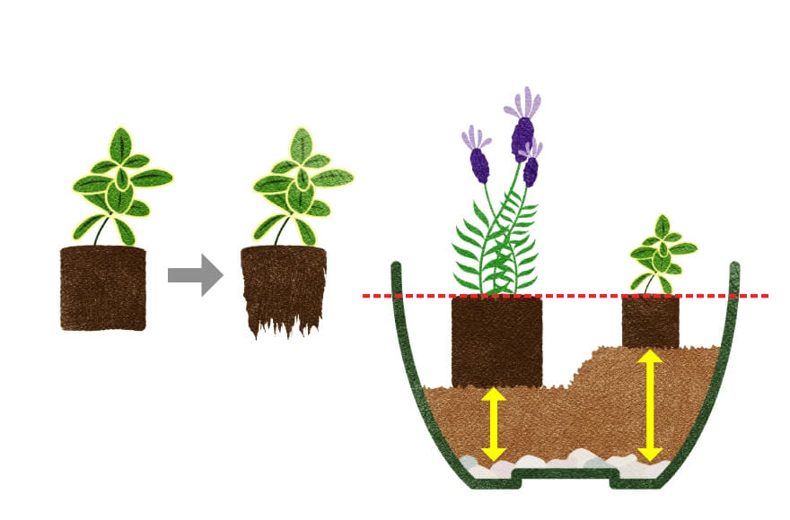 Fill the planter with potting soil up to about 2/5