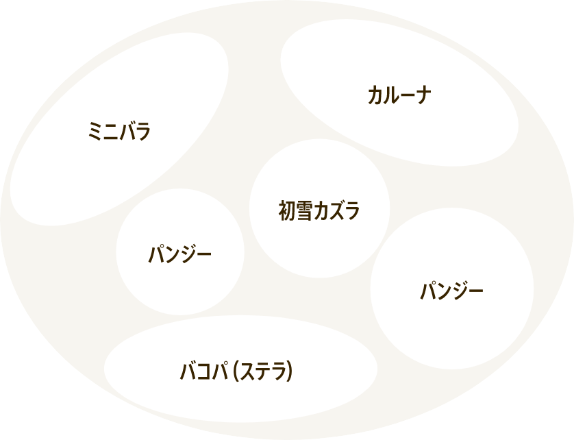 ギャザリン ボウルＳを使った寄せ植えレシピ