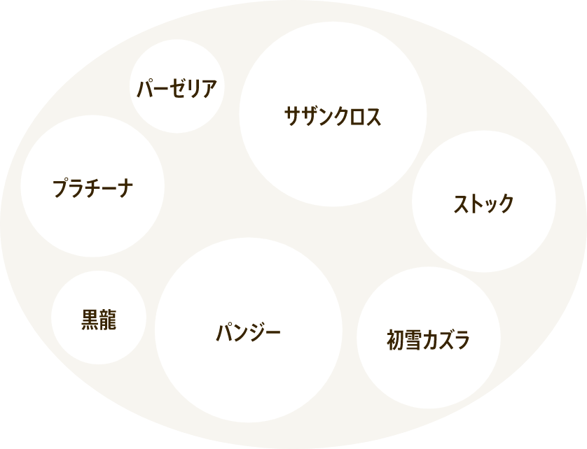 ギャザリン ボウルＳを使った寄せ植えレシピ