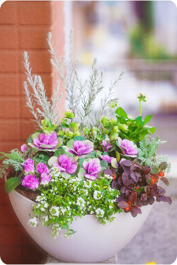 Group planting recipe using Gathering Bowl M