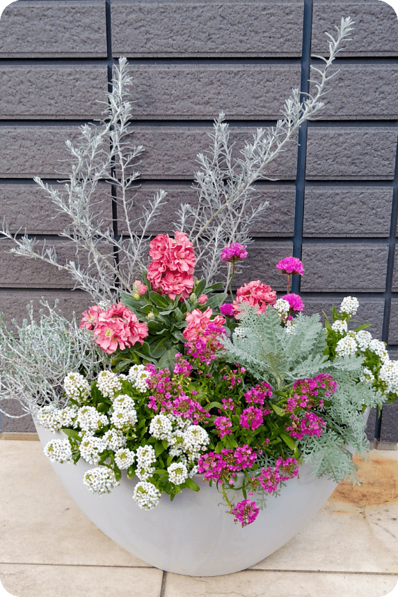 Group planting recipe using Gathering Bowl M