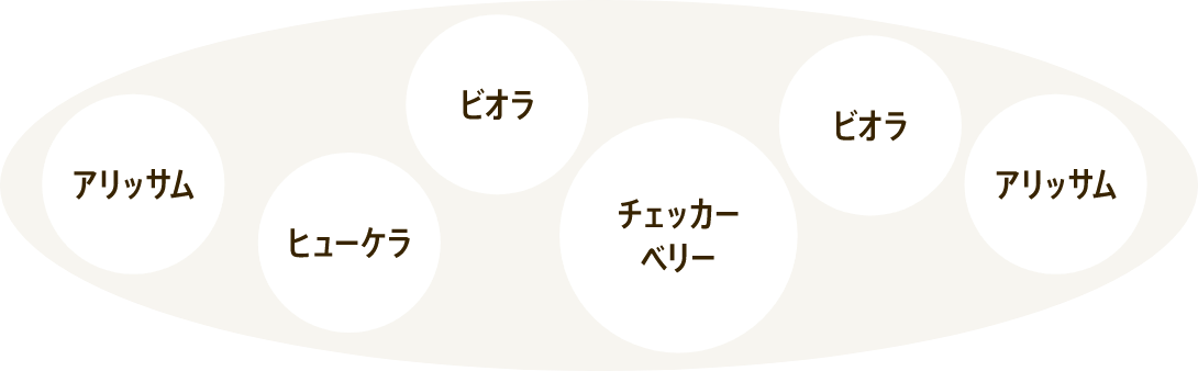 ギャザリン オーバルSを使った寄せ植えレシピ