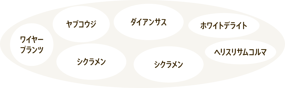 ギャザリン オーバルSを使った寄せ植えレシピ