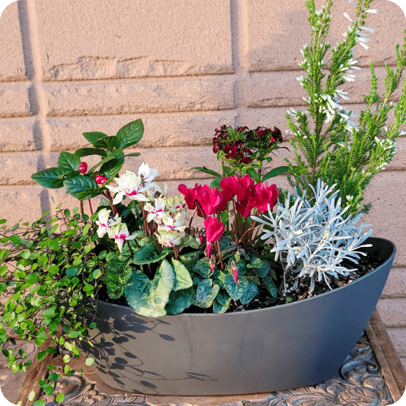 Group planting recipe using Gathering Oval S