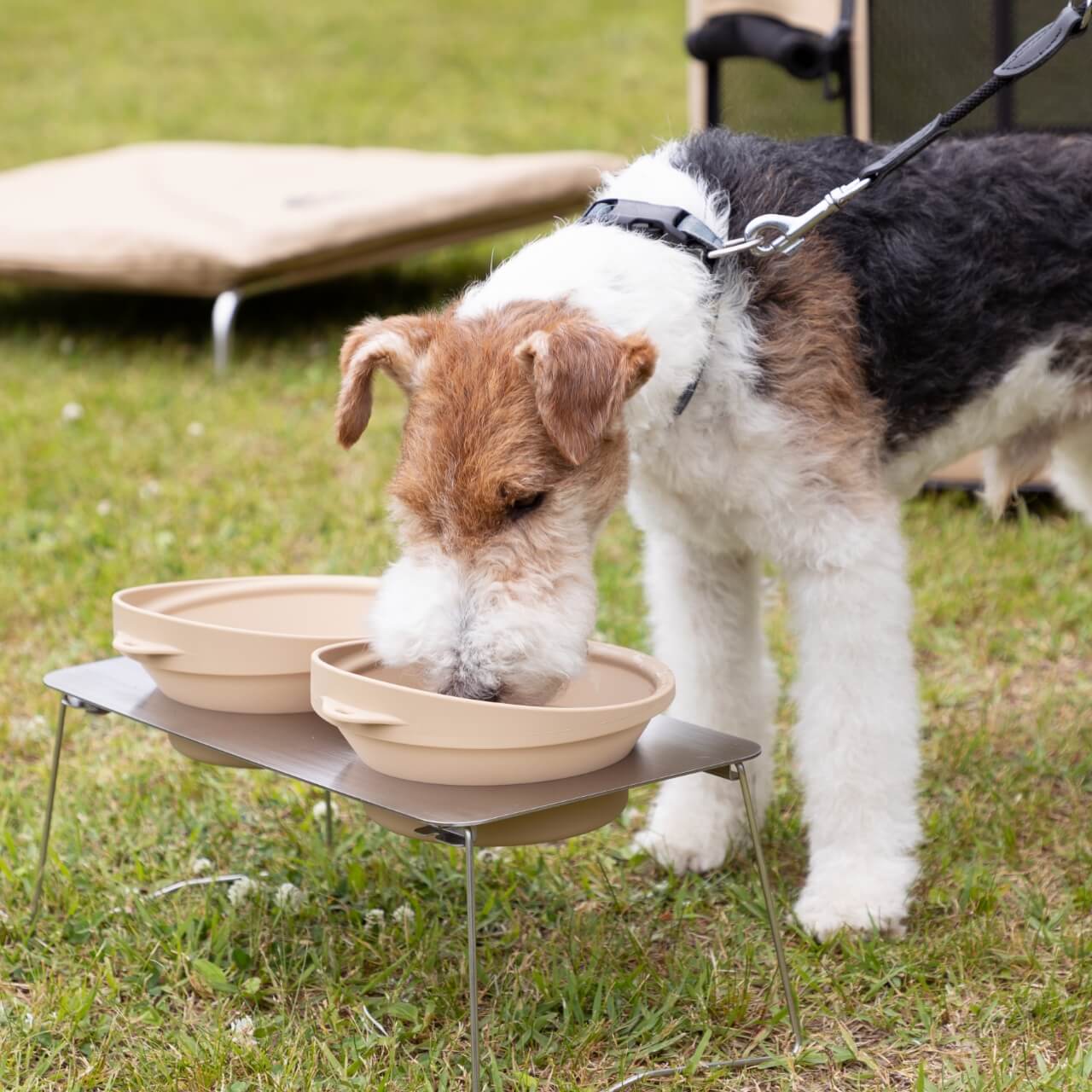 "Marktus Portable Dish Stand" is foldable and compact