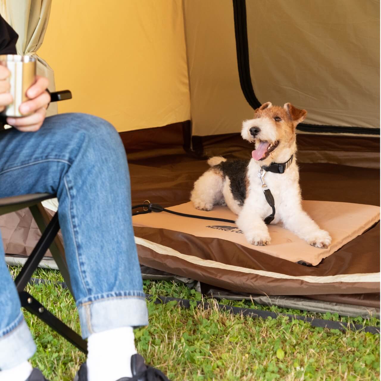 With the Marktas Inflator Mat, you can be with your dog even inside the tent.