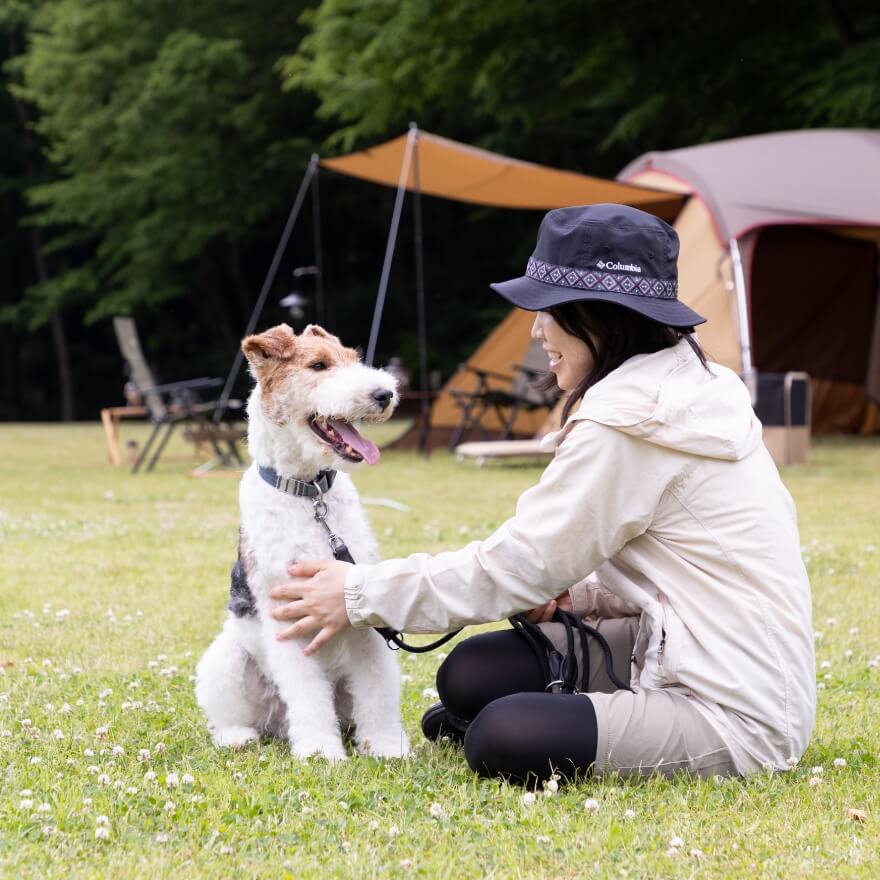 大切な愛犬との時間を、もっとスマートに。快適に。