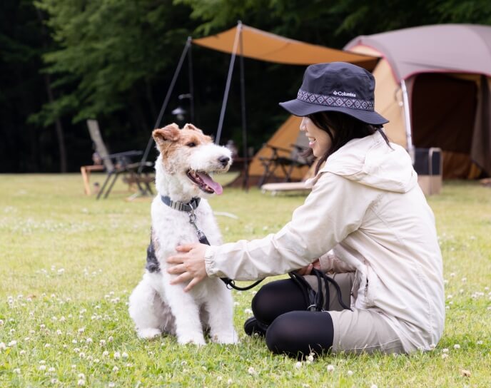 大切な愛犬との時間を、もっとスマートに。快適に。