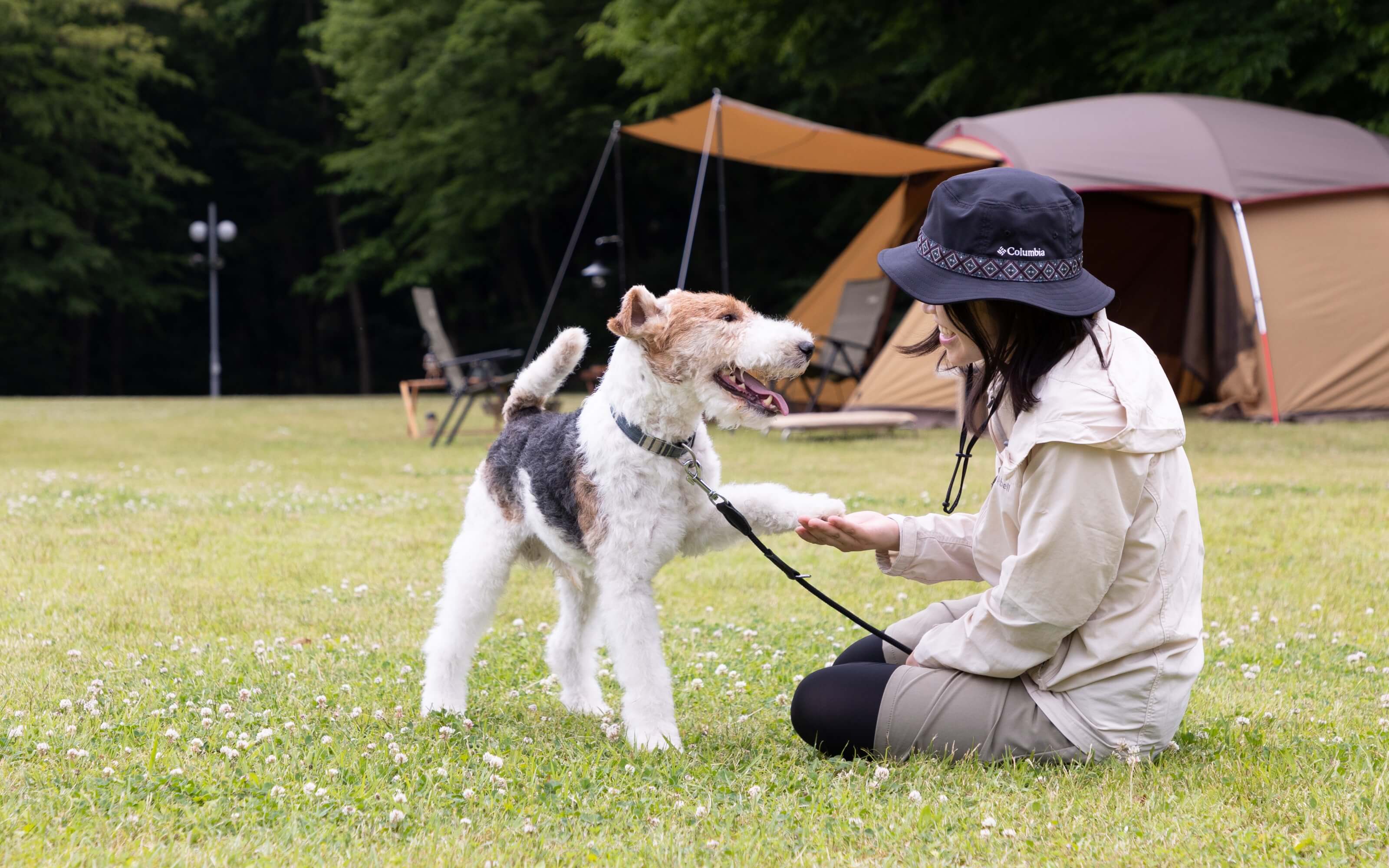 リッチェル 犬用アウトドアブランド「マークタス」