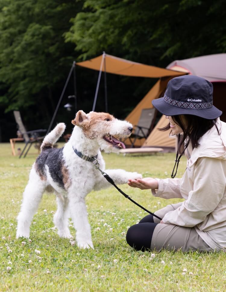 リッチェル 犬用アウトドアブランド「マークタス」