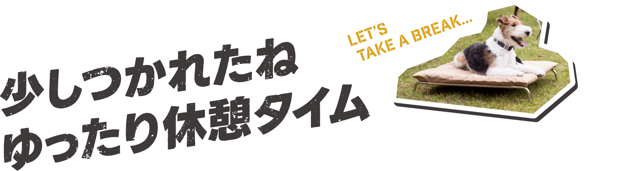 少しつかれたね ゆったり休憩タイム