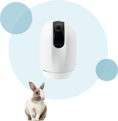 Conveniently monitor, water, and feed pets with your smartphone!