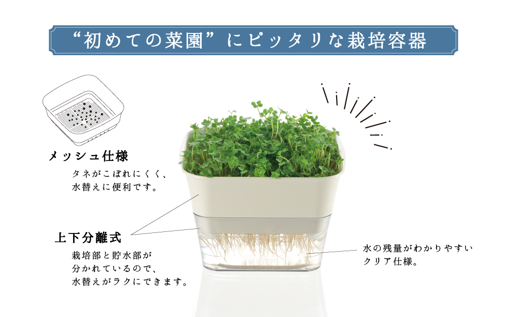 初めての菜園にぴったりな栽培容器