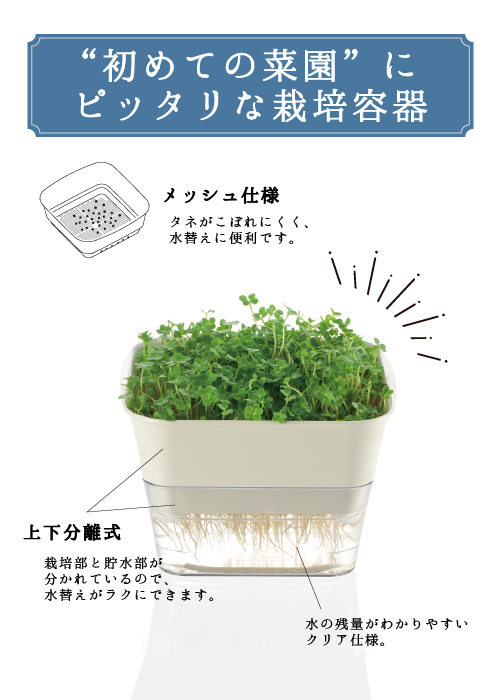 初めての菜園にぴったりな栽培容器