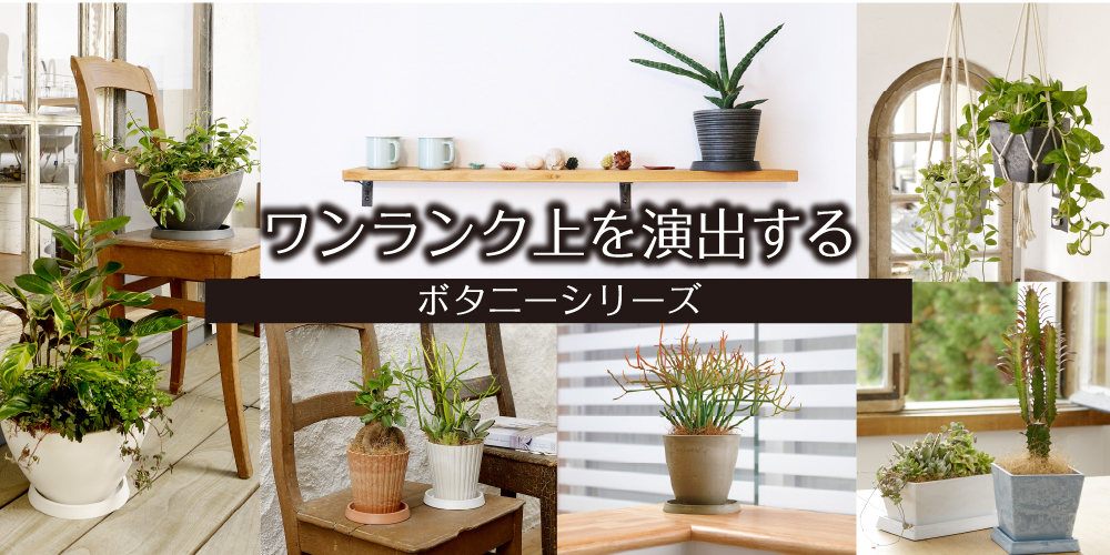 ボタニーシリーズ - リッチェルLIFE+【公式】