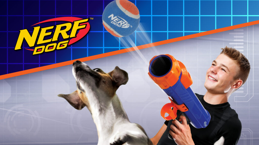 犬のおもちゃ　まとめ売り　ナーフドッグ　KONG リッチェル Tonka 大型犬 pet3-1024x576.jpg