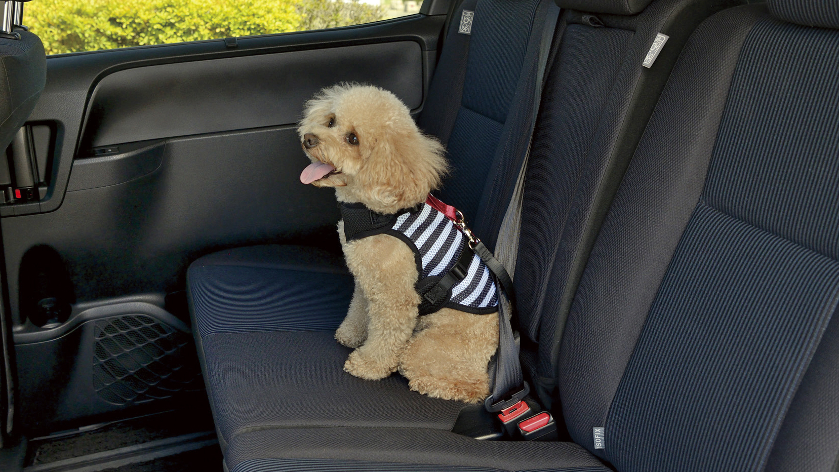 ペット 車 お手入れが簡単 折り畳み 一緒にドライブ 鞄