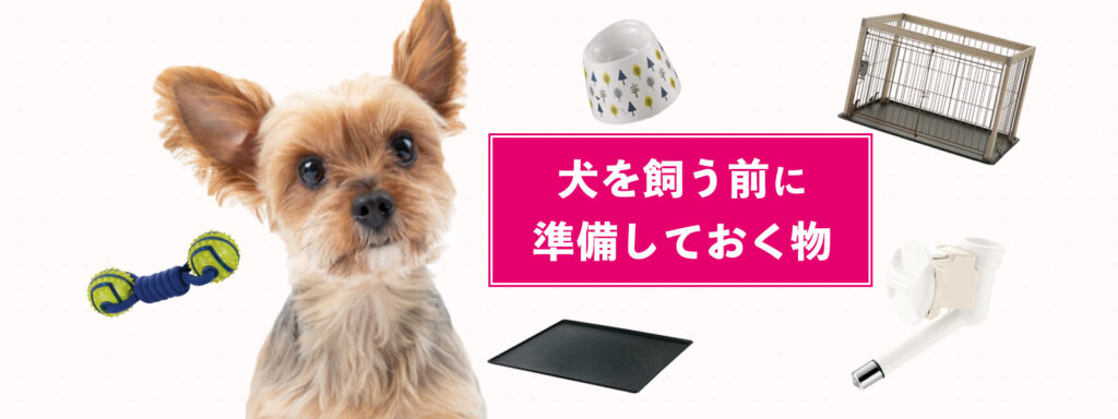 犬を飼う前に準備しておく物