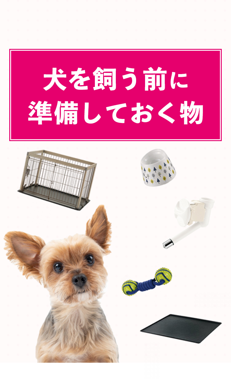 犬を飼う前に準備しておく物