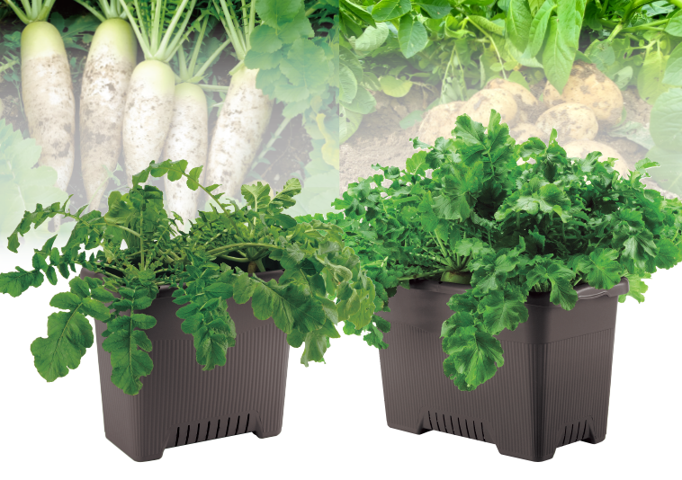 菜園上手 深50型・ジャンボ65型で畑づくり - リッチェルLIFE+【公式】