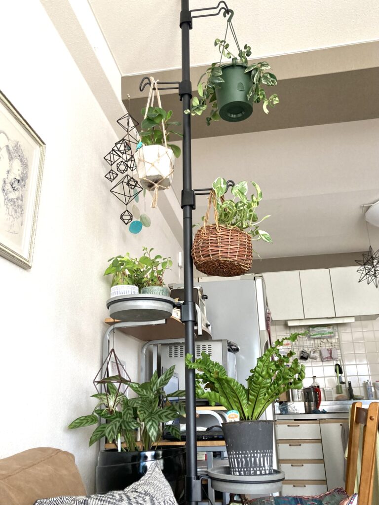 観葉植物を吊るす方法6選！飾る時に使うアイテム選びや配置のポイントも紹介 - リッチェルLIFE+【公式】