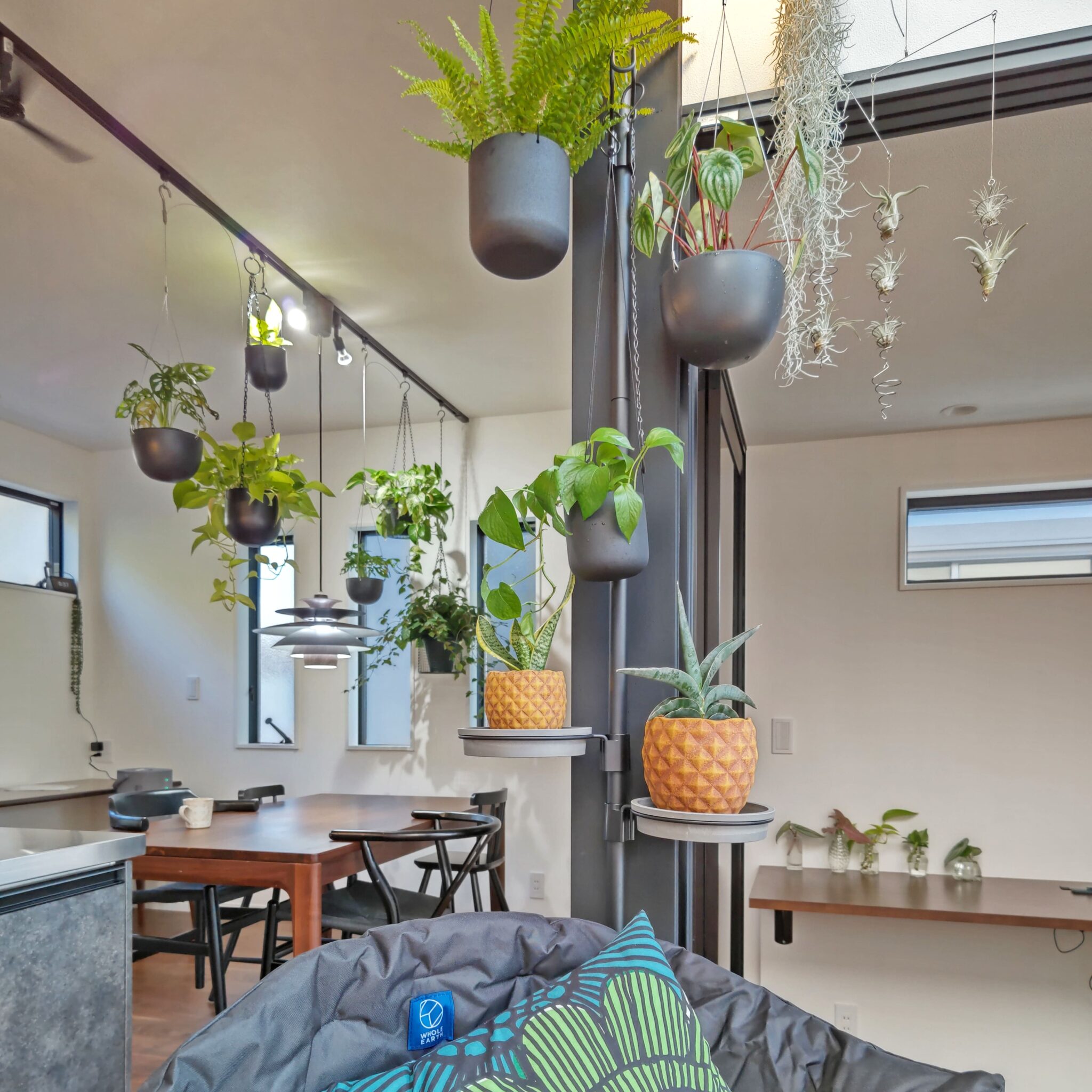 観葉植物の寄せ植えをおしゃれに仕上げるポイント4選|作り方と注意点も紹介 - リッチェルLIFE+【公式】