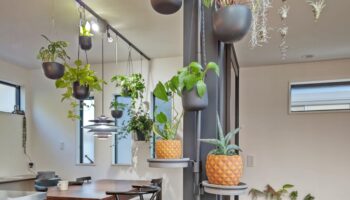 A half-silver pole that allows you to enjoy plants in your room.
