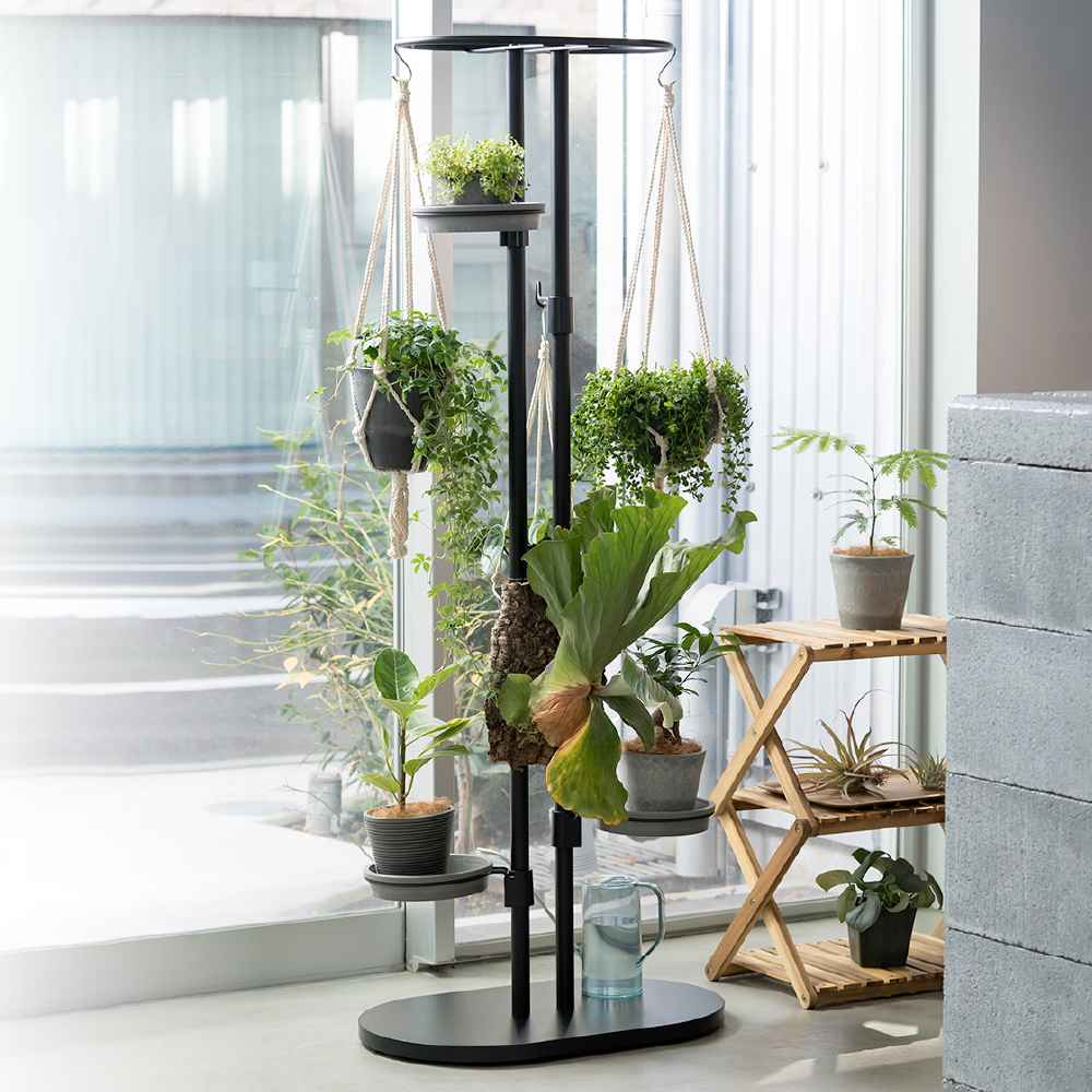 botany hanging stand