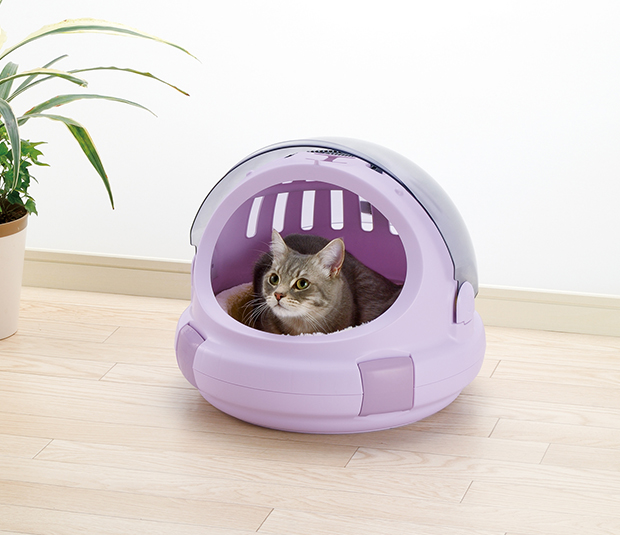猫を飼うのに必要なものリスト！初めての人が揃えるべきおすすめグッズ 
