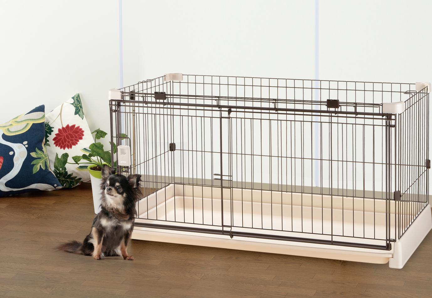 犬のケージ・サークルを掃除（丸洗い）する時の方法｜ポイントを踏まえ 